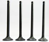 14721-438-000 Engine Exhaust Valves (4 Valves)