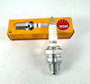 10 x D6HA NGK Spark Plug