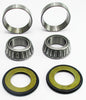 Ducati Steering Head Stem Bearing Kit  22-1062