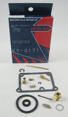 KY-0171 Carb Repair and Parts Kit